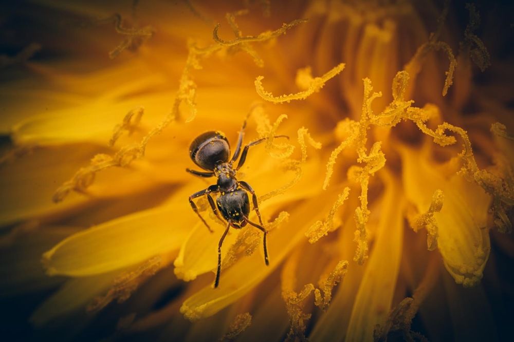 Photograph by heymans Tiffany