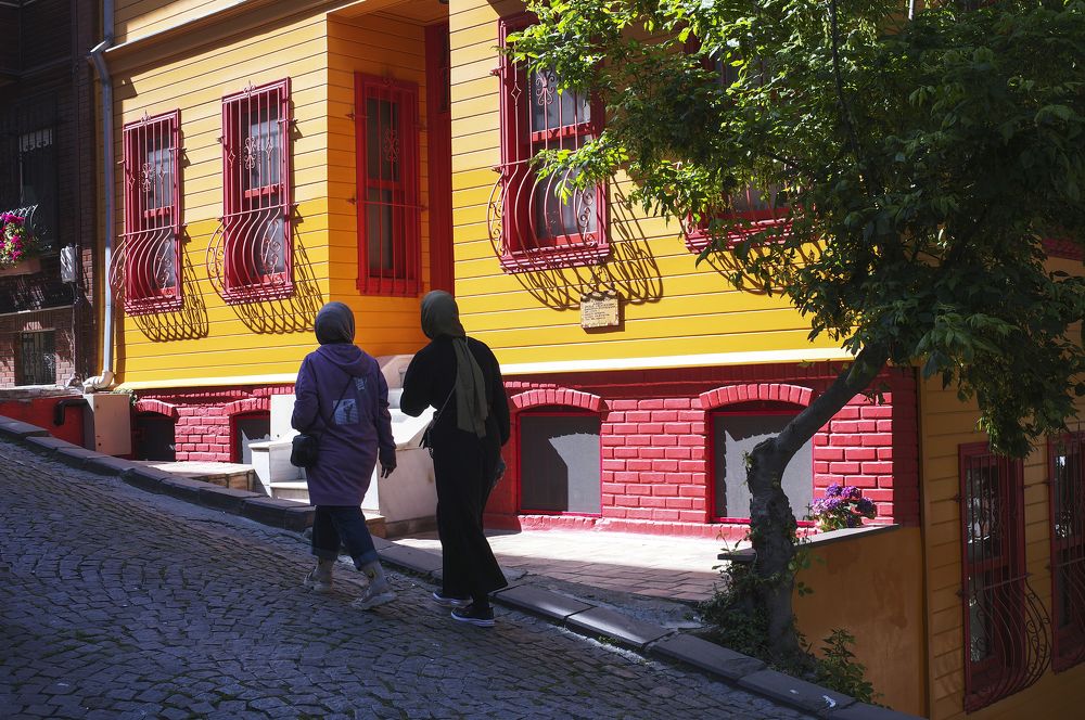 Photograph by Александр Журавлев