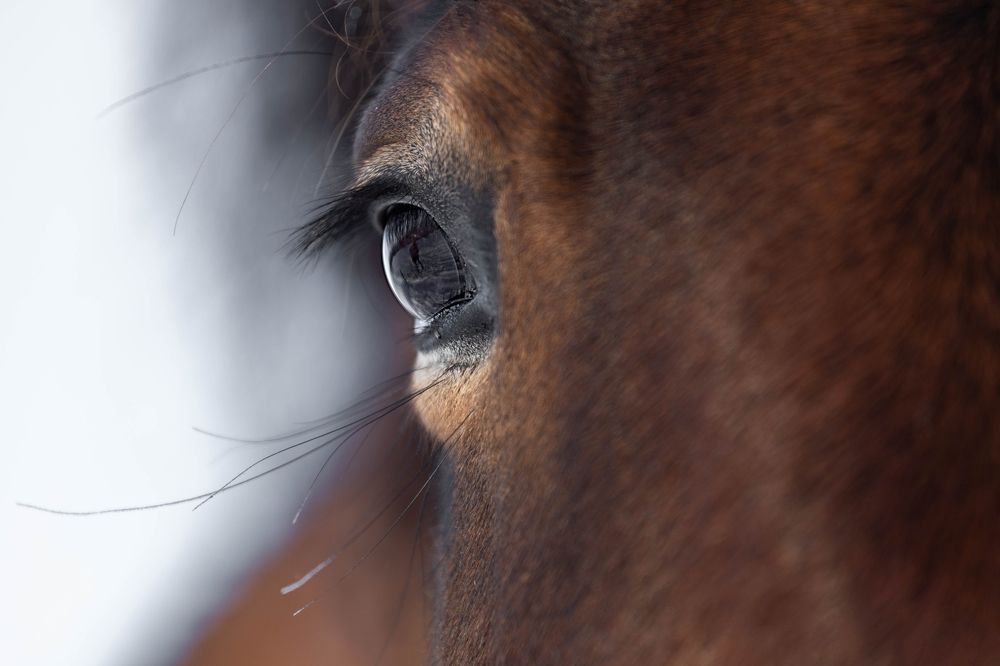 Photograph by Татьяна