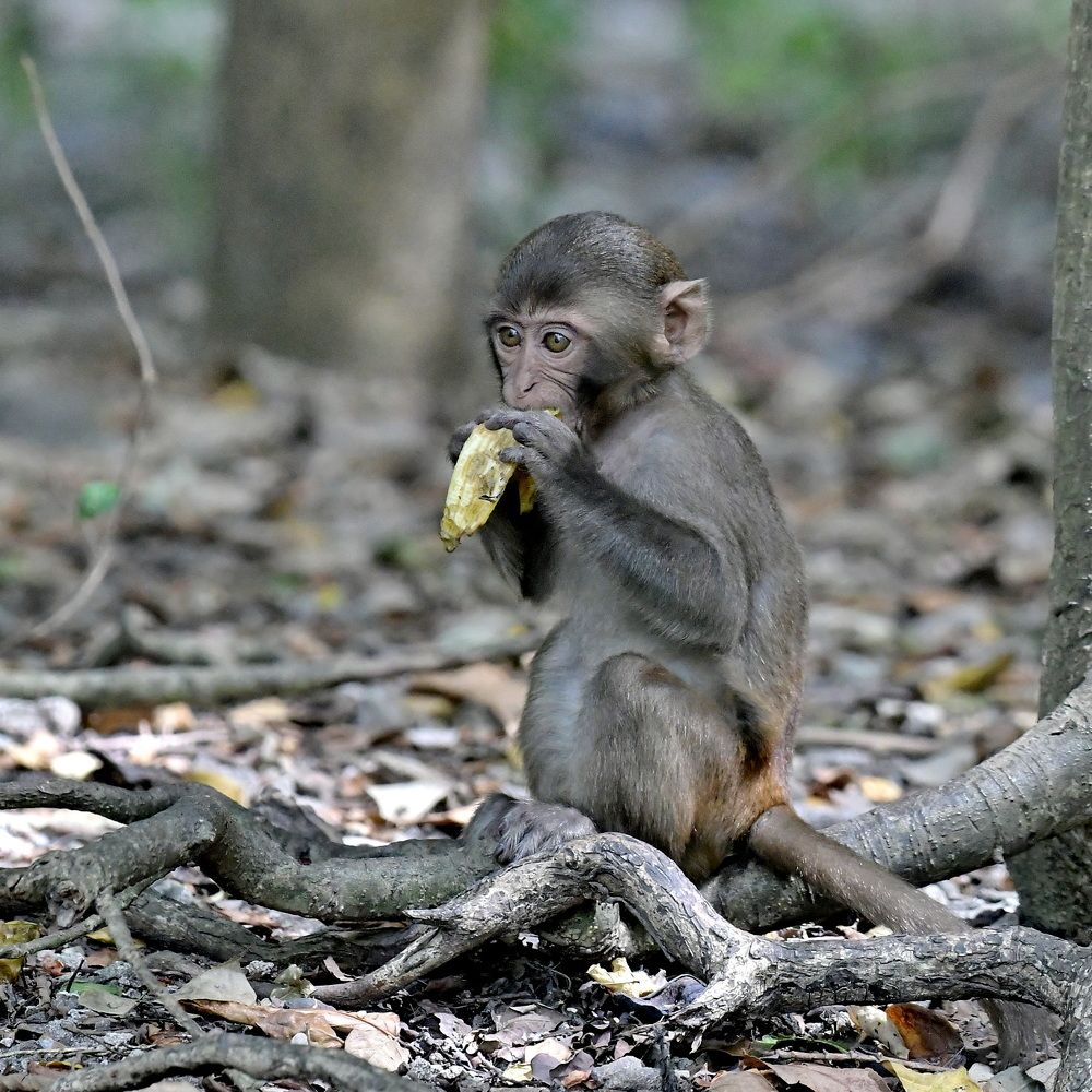 Photograph by Александр Катунцев
