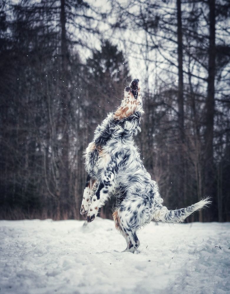 Photograph by Татьяна