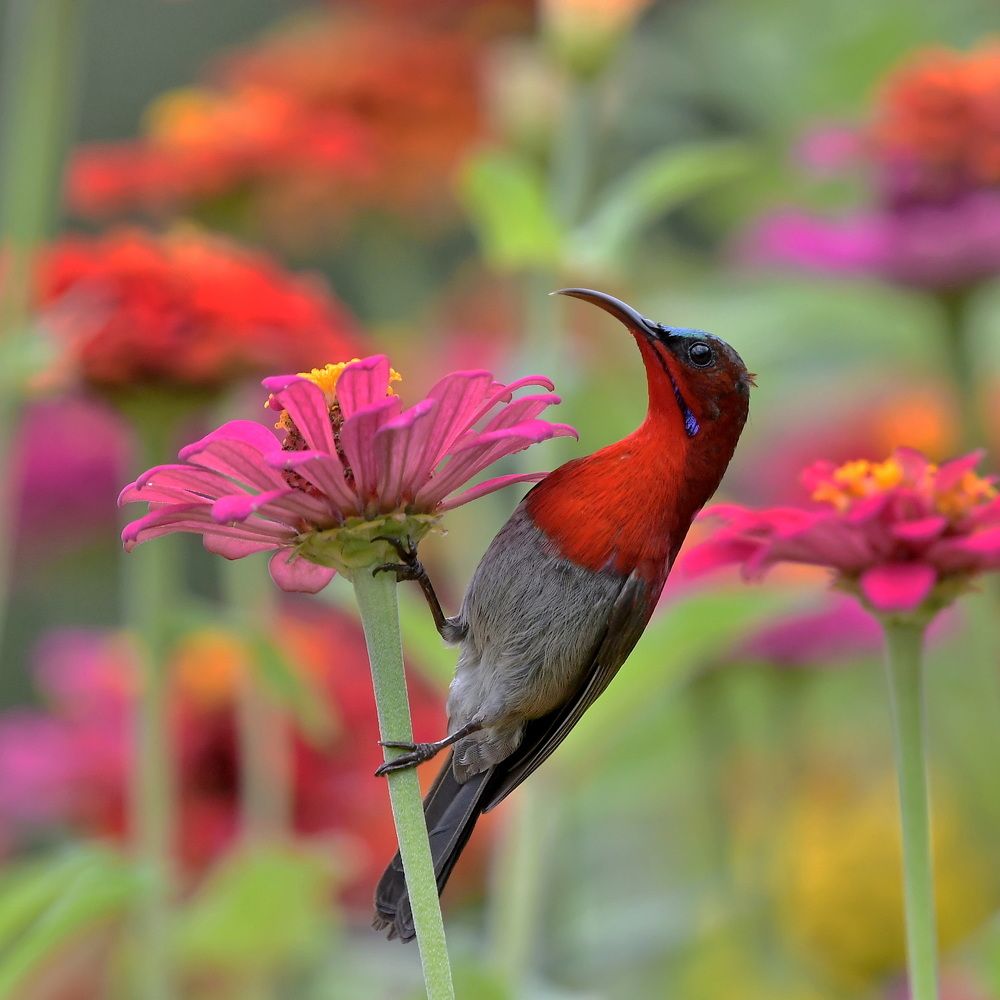 Photograph by Александр Катунцев