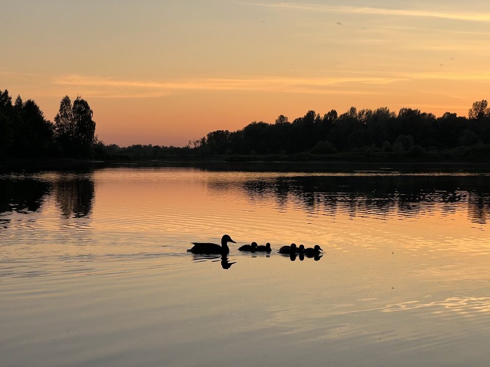 Photograph by Анастасия Конина