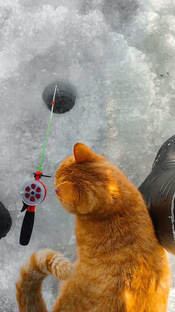 "В ожидании"