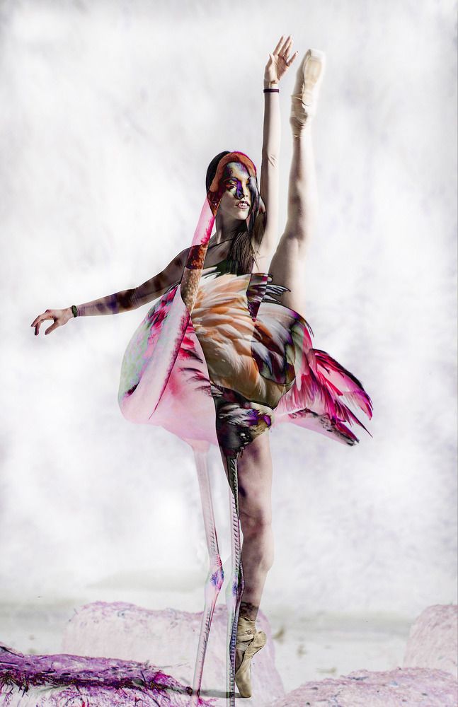 Photograph by Walter Fogel