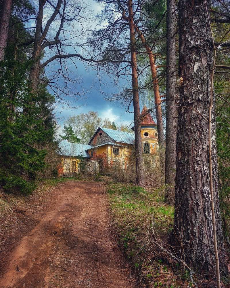 "Забытая в лесу"