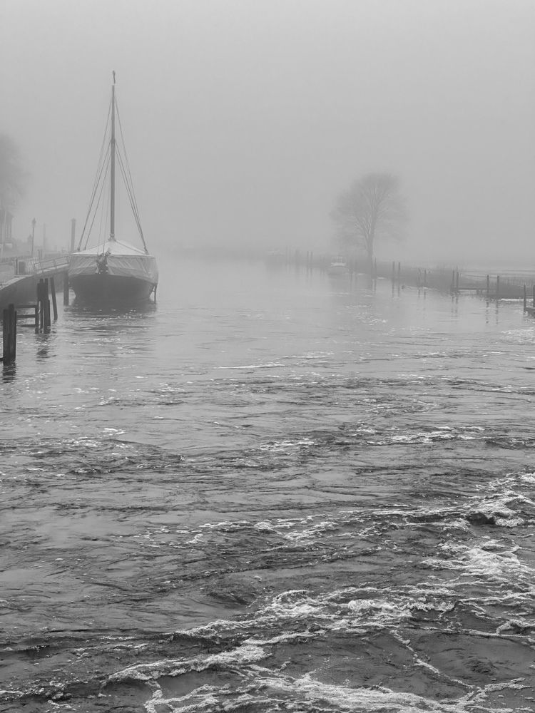 Photograph by АНДРЕЙ СКРИПКА