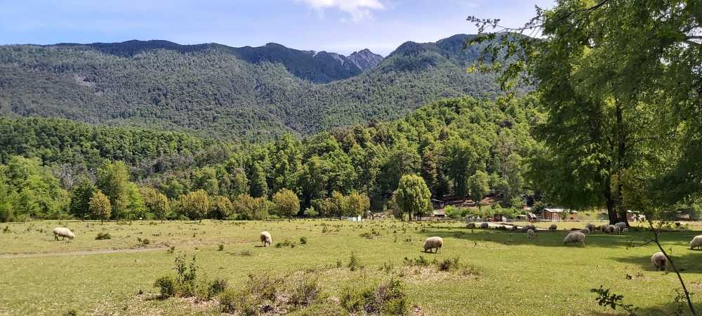 Photograph by CARLOS JAVIER PIRALI