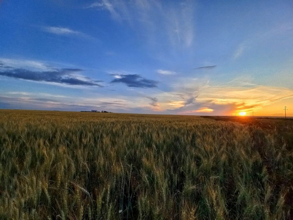 Photograph by Александра Королёва