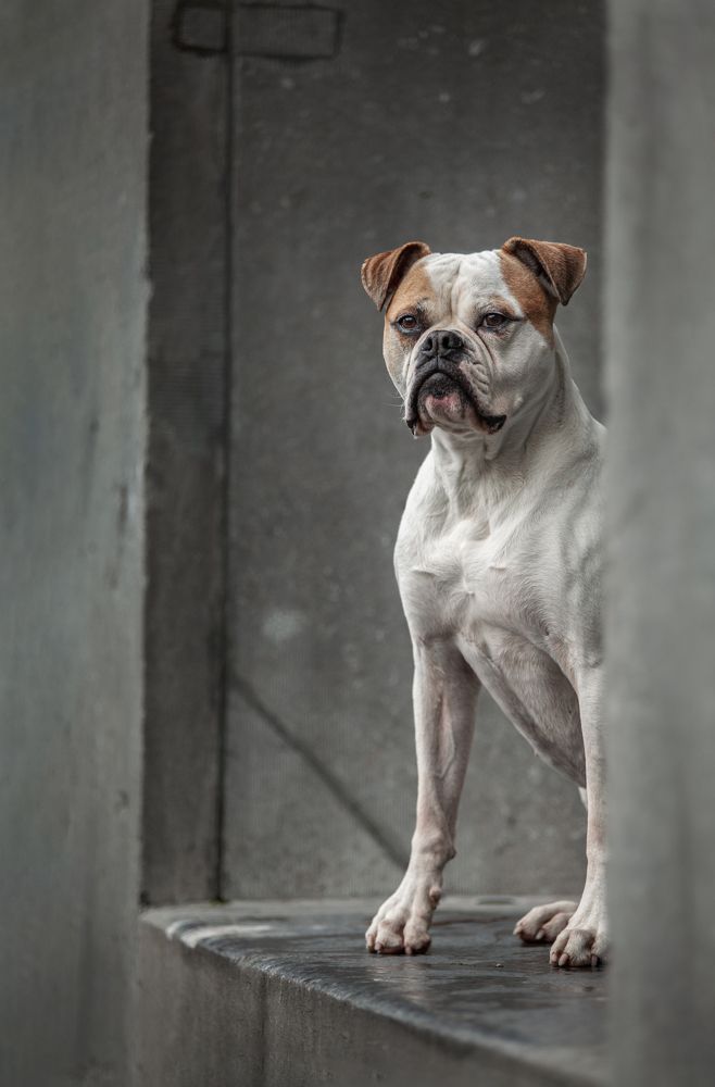 Photograph by Gertrude Goené