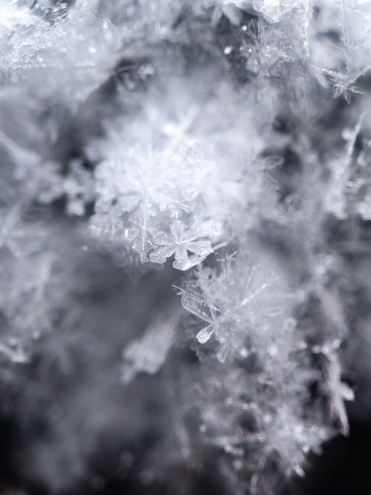 Photograph by Mehrshad Pahlavan