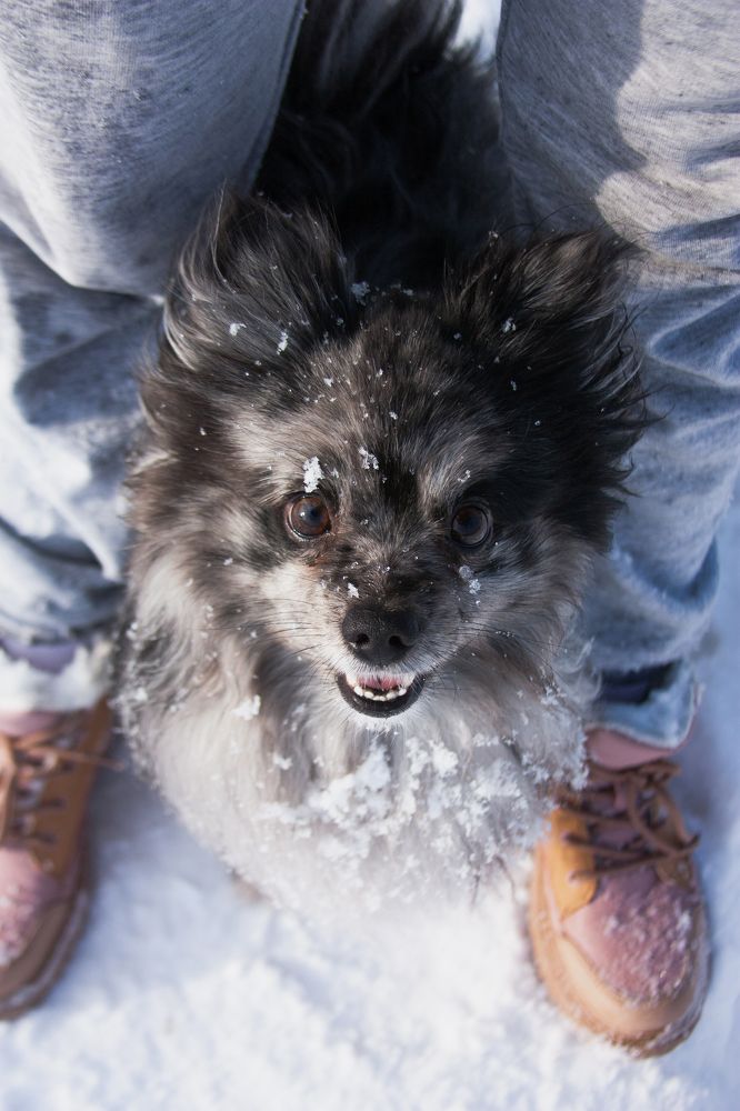 Photograph by Елизавета Кузнецова