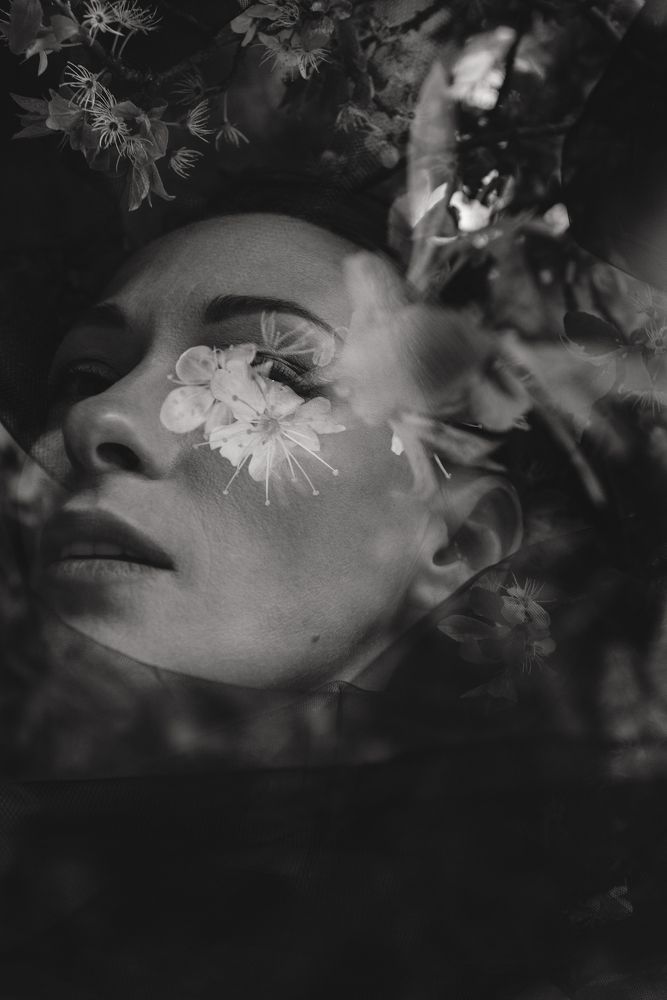 Перерождение