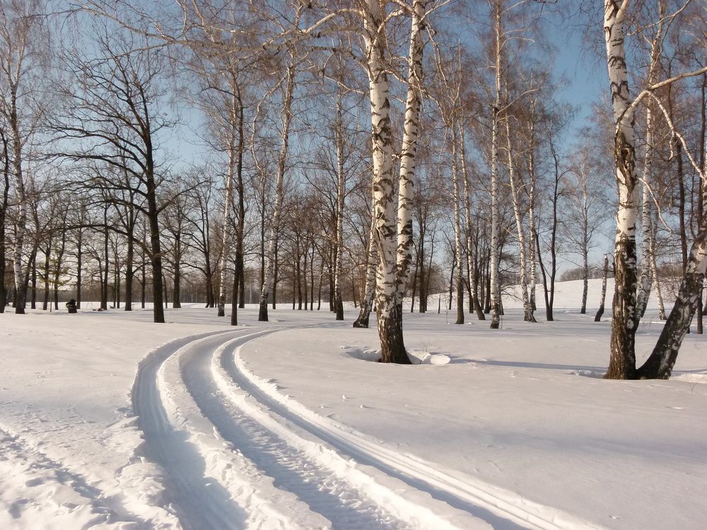 Photograph by Александр Кизим