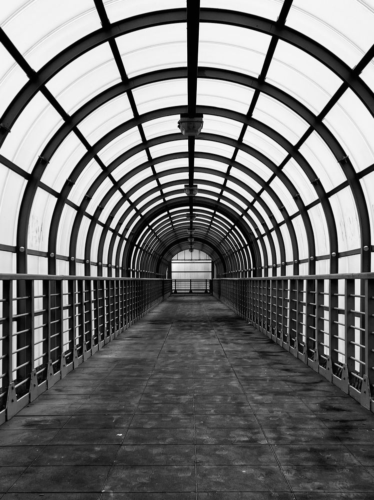 Photograph by Анастасия Конина