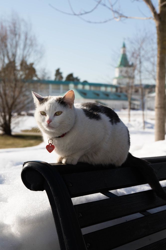 Photograph by Татьяна Музыка