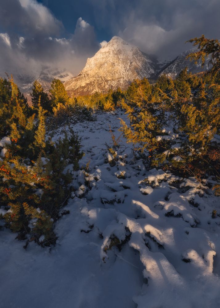 Photograph by Mario Marini