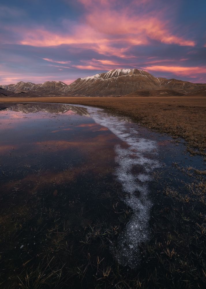 Photograph by Mario Marini