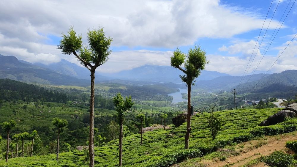 Photograph by Diwakaran D