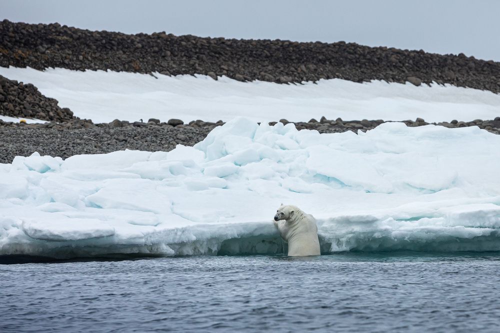 Photograph by Алена Присяжная