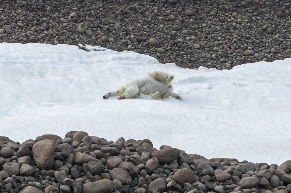 Photograph by Алена Присяжная