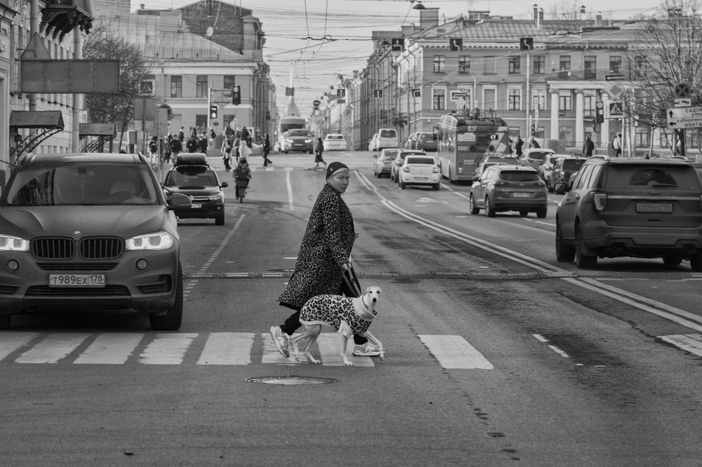 Photograph by Людмила Подольская