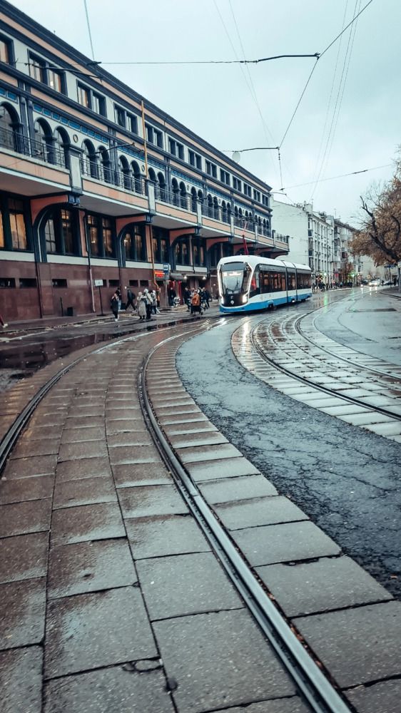 Photograph by Елена Гунько