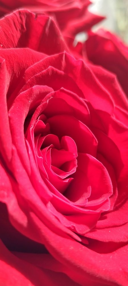 Photograph by Любовь Макарова