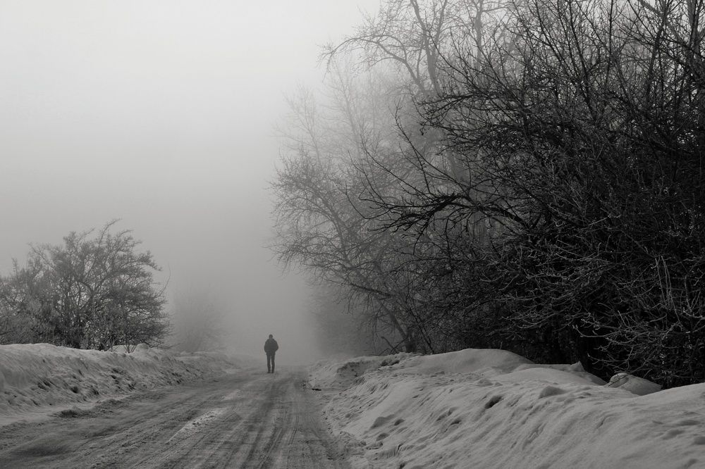 Photograph by Инна Карасева