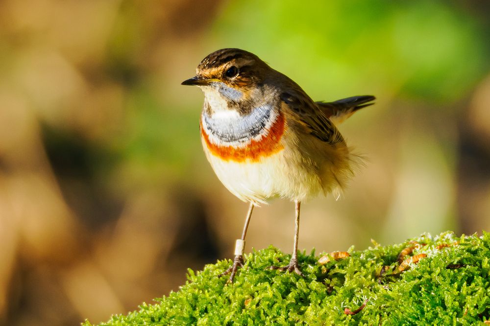 Фотография автора Jorge Herraiz