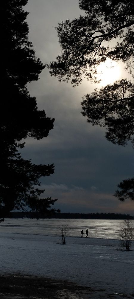 Photograph by Любовь Макарова