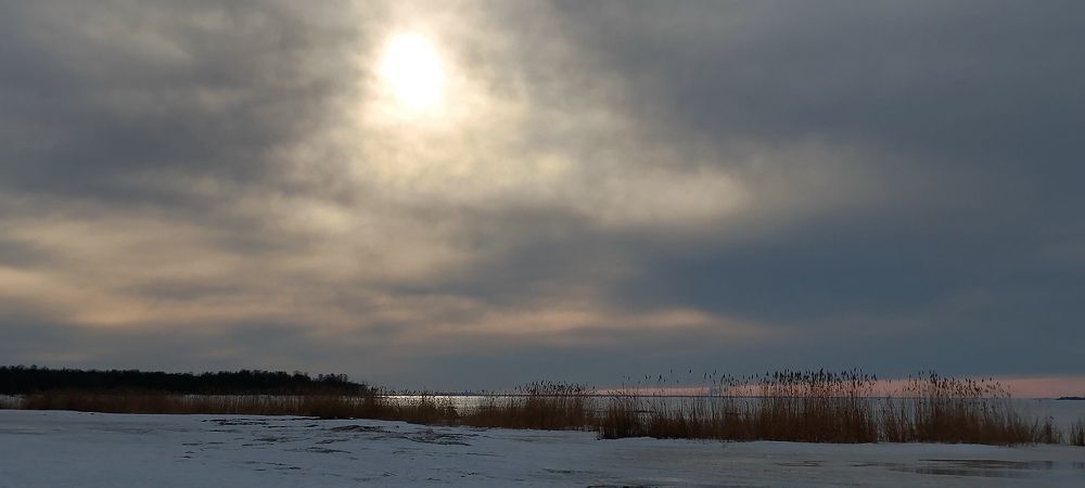 Photograph by Любовь Макарова