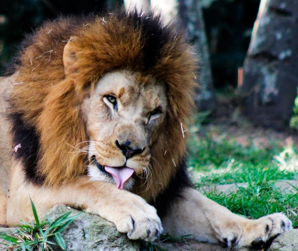 Photograph by Raul luciano batista dos santos