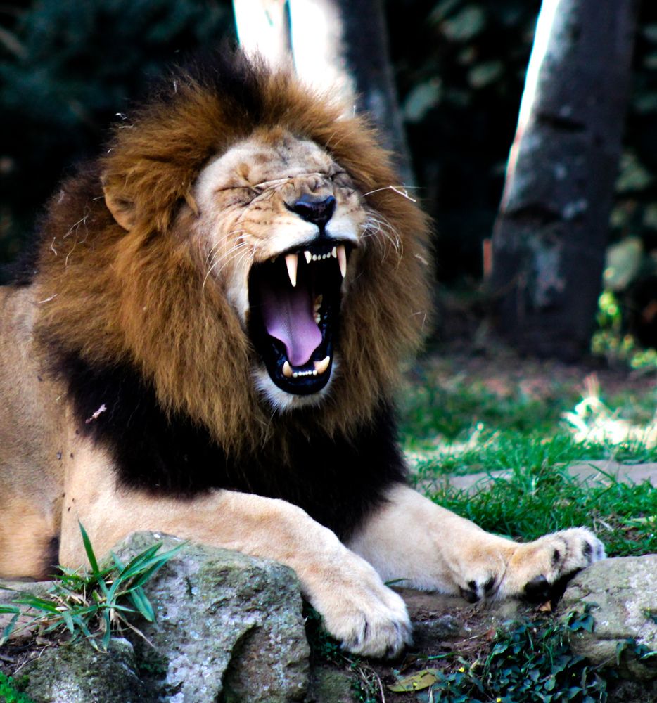 Photograph by Raul luciano batista dos santos