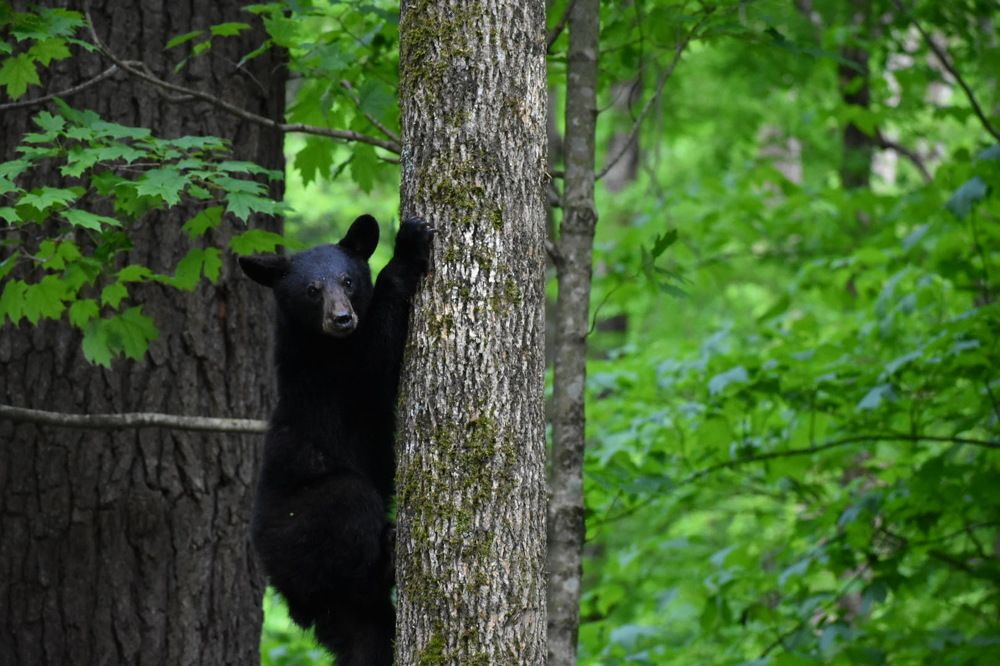 Photograph by Tyler Dewees