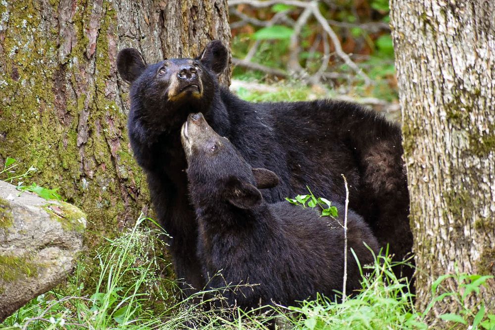 Photograph by Tyler Dewees