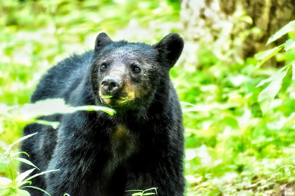 Photograph by Tyler Dewees