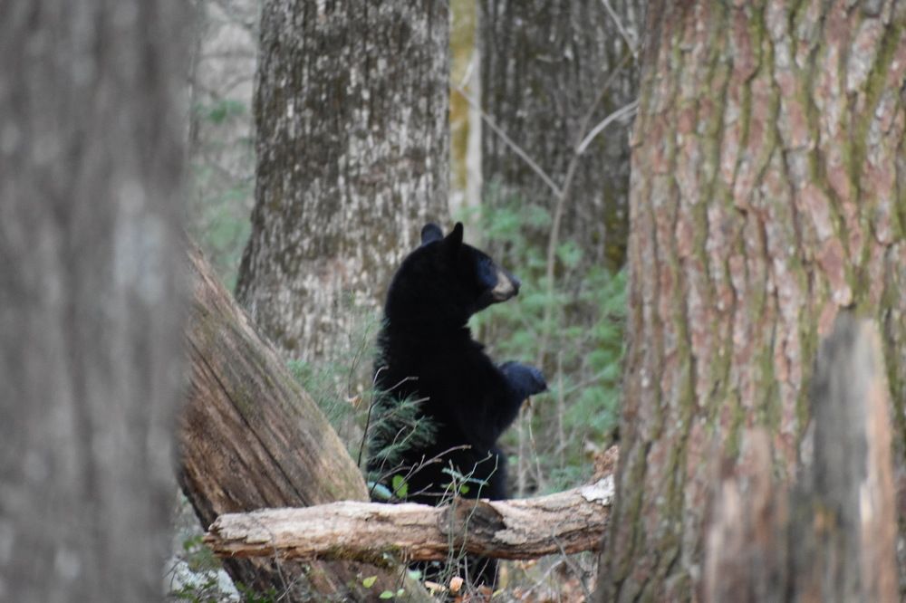 Photograph by Tyler Dewees