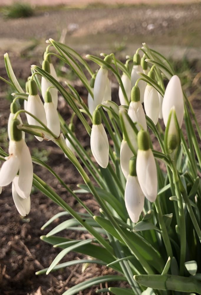 Photograph by Сяргей Кулик