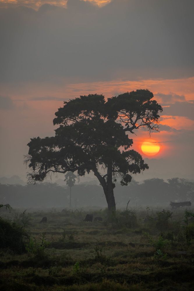Photograph by sivakumar kannappan