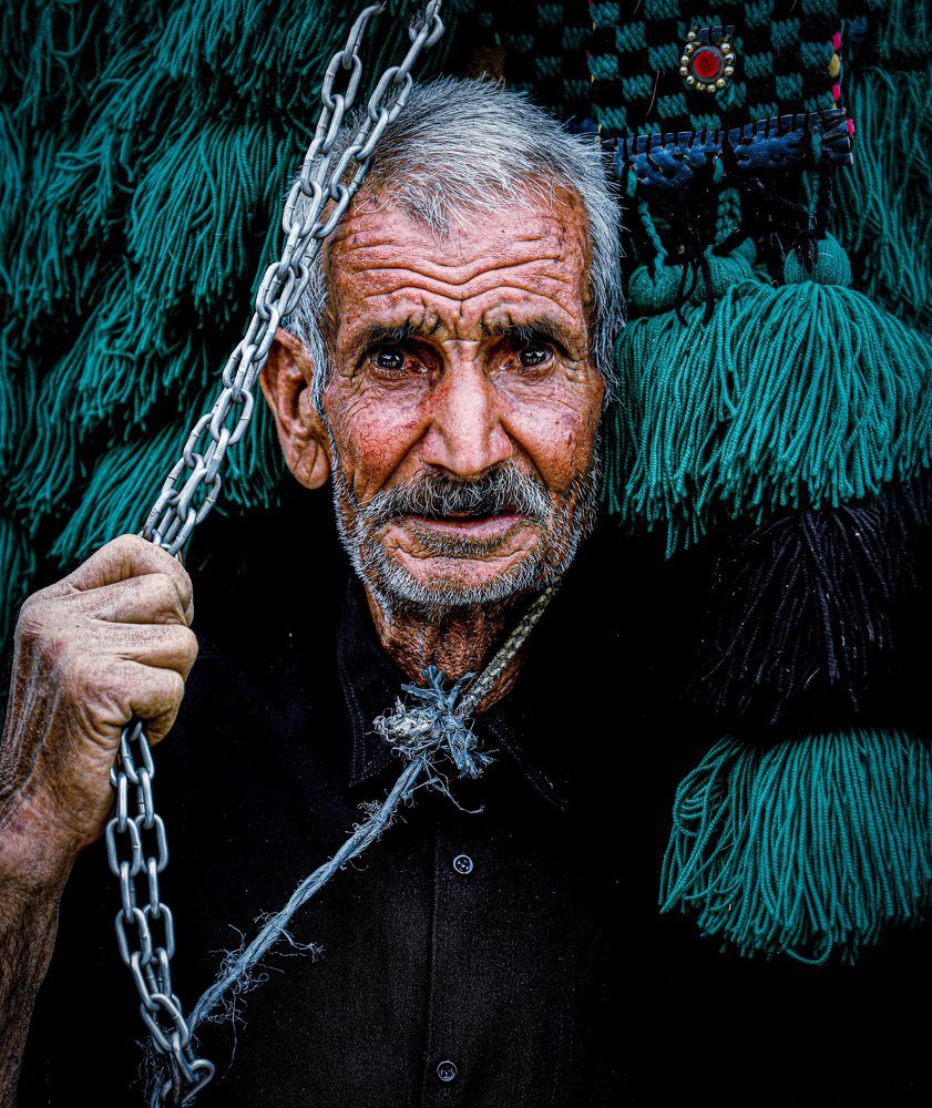 Photograph by abolfazl rokooei