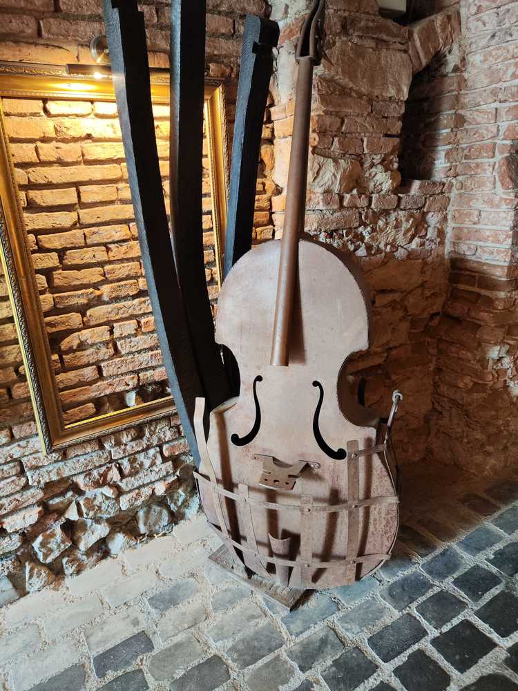 Photograph by rusenescu ramona