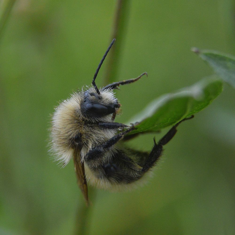 Точка опоры.