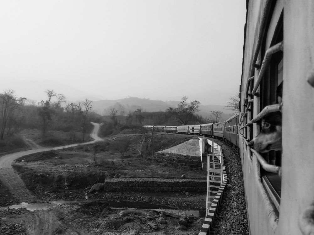 Photograph by E N I G M A