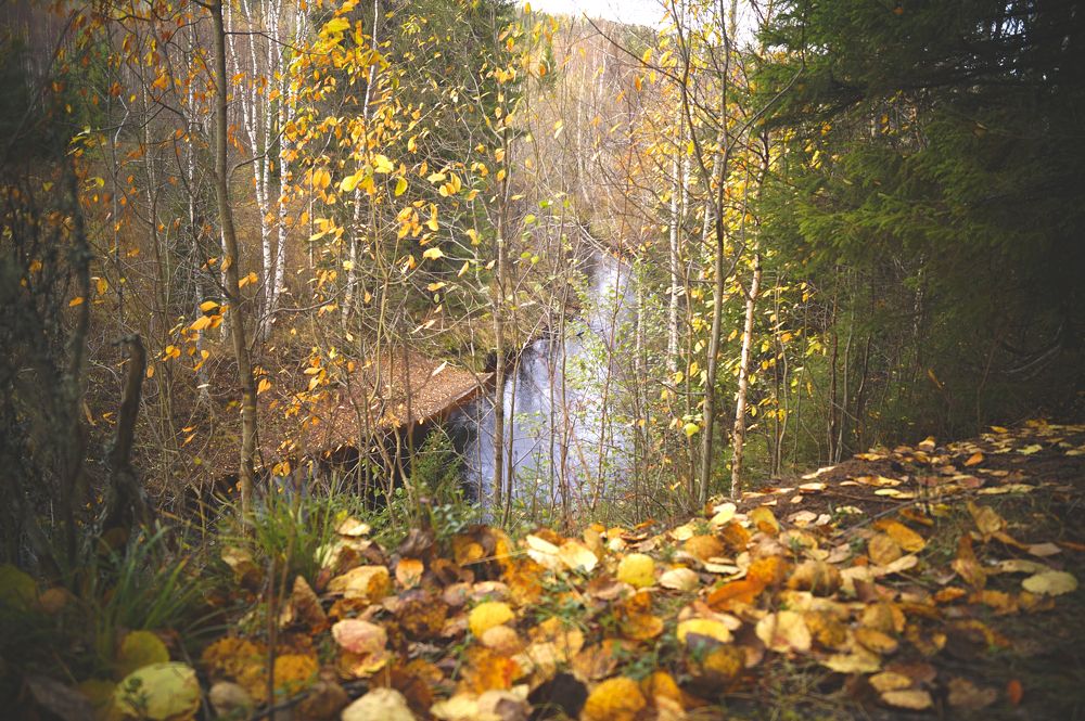 Photograph by Татьяна Бешенкина