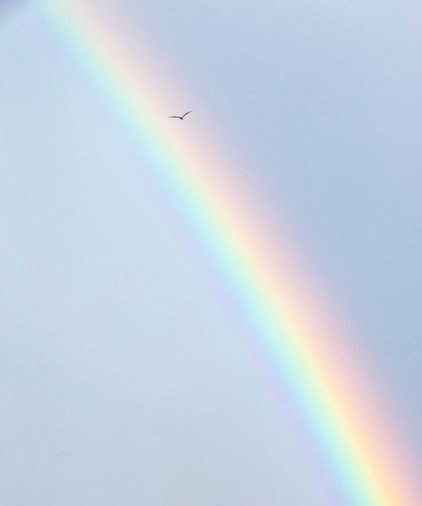 Photograph by Mazen Abdennadher