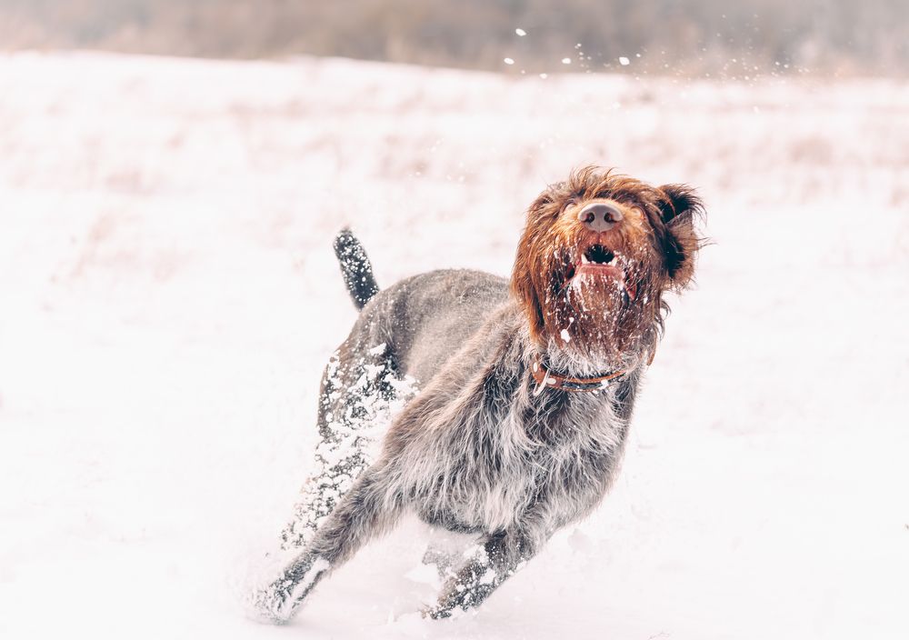 Photograph by Глущенко Ольга