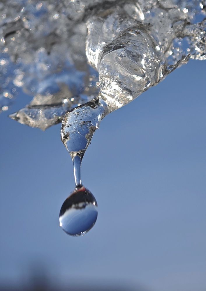 Фотография автора Вера Красюкова