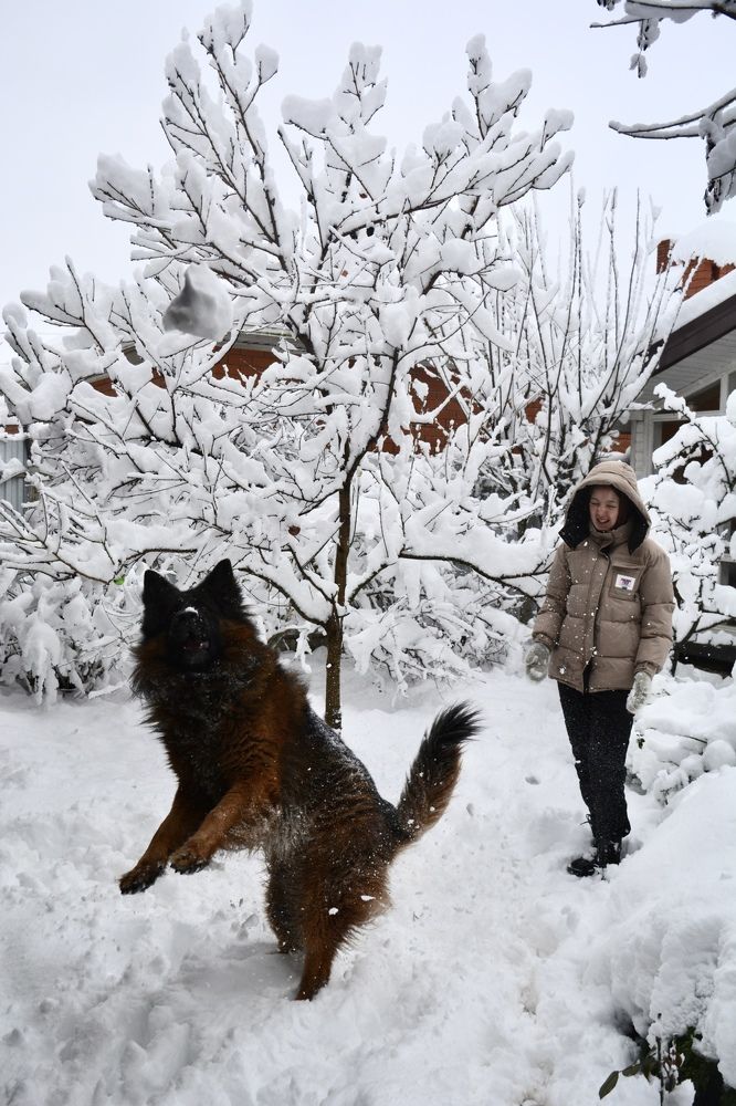 Photograph by Анастасия Денисенко