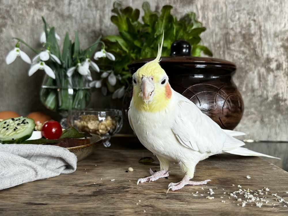 Photograph by Анастасия Денисенко